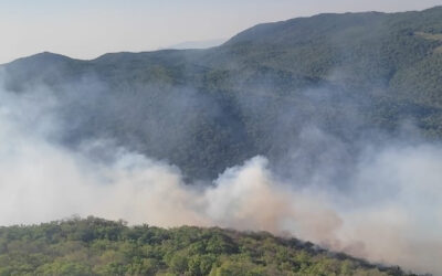 MÁS BRIGADISTAS SE SUMAN AL COMBATE DE INCENDIOS EN LOS LÍMITES DE LA ZONA MEDIA Y LA REGIÓN HUASTECA