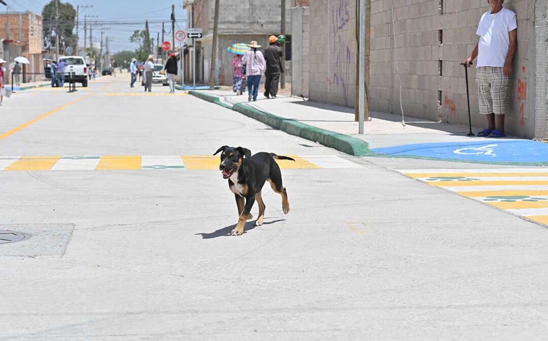 INAUGURAN PAVIMENTACIÓN DE CALLES EN LAS FLORES DE LA ZONA METROPOLITANA