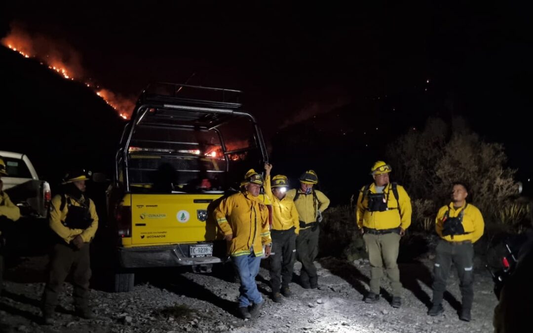 BRIGADISTAS FORESTALES TRABAJAN PARA CONTROLAR INCENDIO EN MATEHUALA