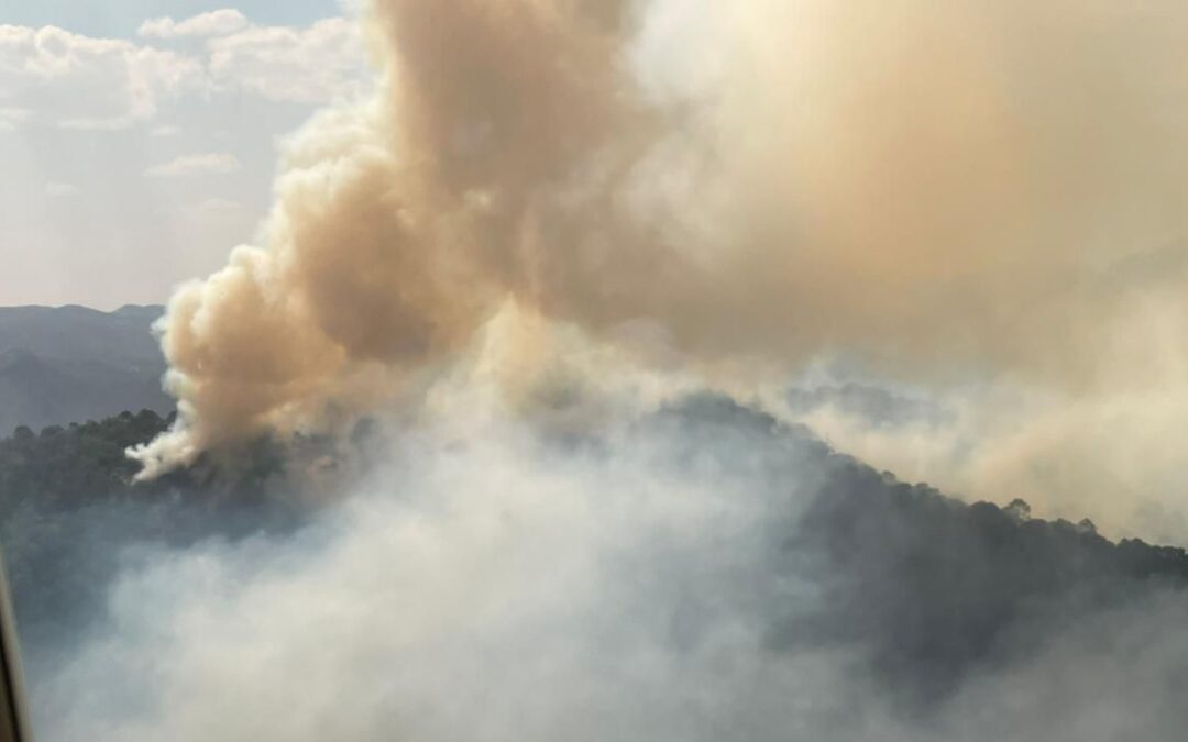 COMBATEN INCENDIO FORESTAL EN SANTA MARÍA DEL RÍO