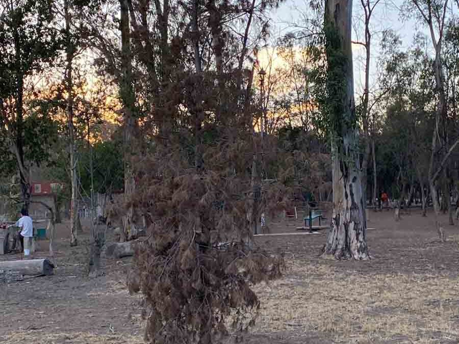 EN BREVE INICIARÁ REHABILITACÍON DEL PARQUE DE MORALES EN LA CAPITAL DE SLP