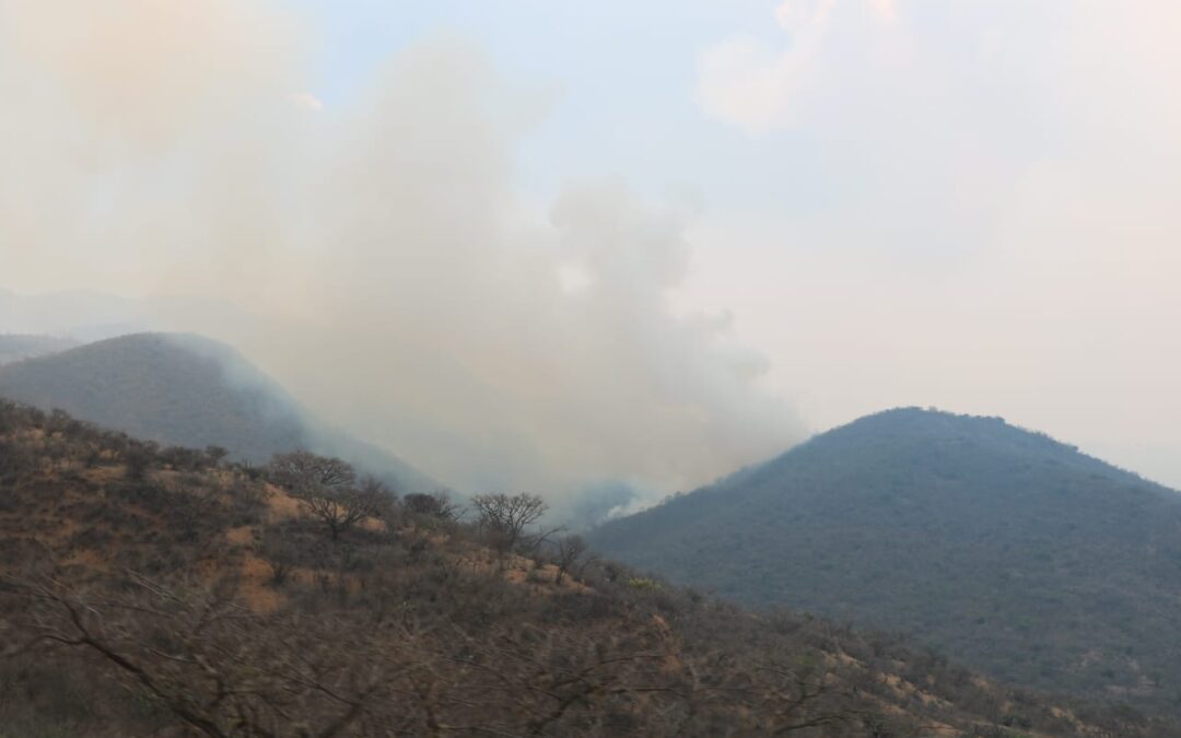 SUPERVISA GOBERNADOR COMBATE A INCENDIO FORESTAL EN SANTA MARÍA