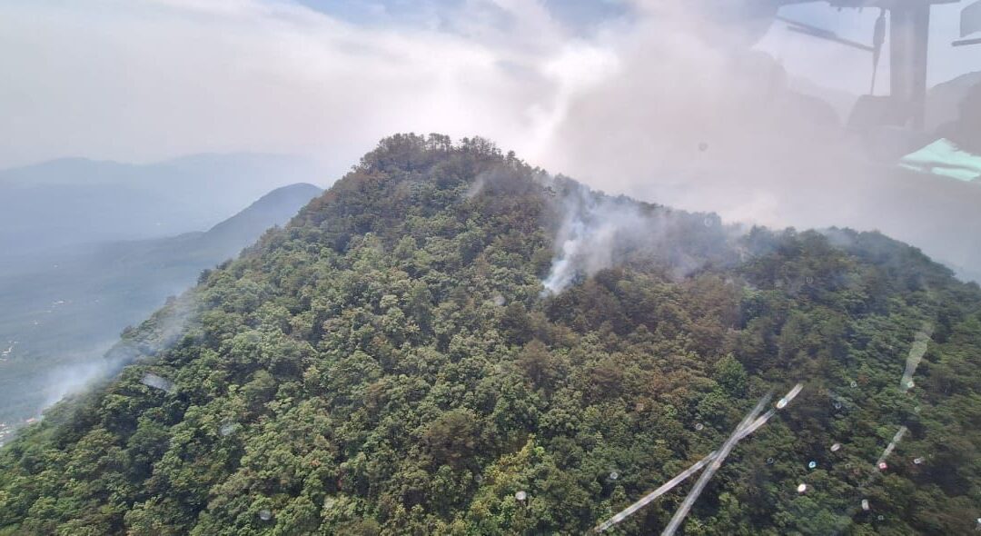 SE REGISTRA INCENDIO FORESTAL EN XILITLA