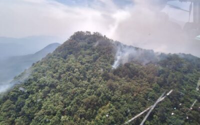 SE REGISTRA INCENDIO FORESTAL EN XILITLA