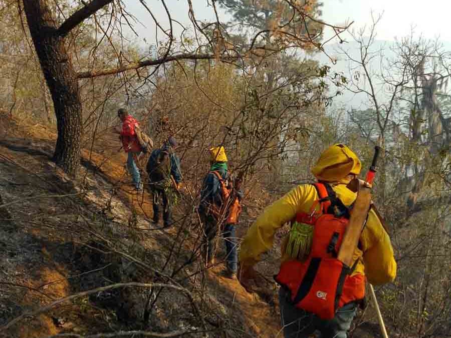 CONTINÚAN TRABAJOS DE COMBATE A INCENDIO FORESTAL EN SANTA MARÍA DEL RÍO