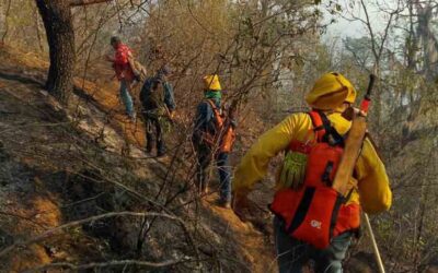 CONTINÚAN TRABAJOS DE COMBATE A INCENDIO FORESTAL EN SANTA MARÍA DEL RÍO