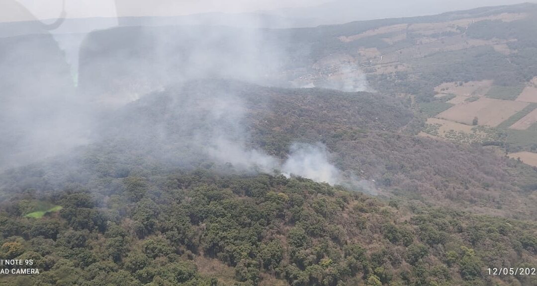 SIGUE COMBATE A INCENDIO FORESTAL EN TAMASOPO