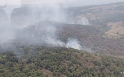 SIGUE COMBATE A INCENDIO FORESTAL EN TAMASOPO