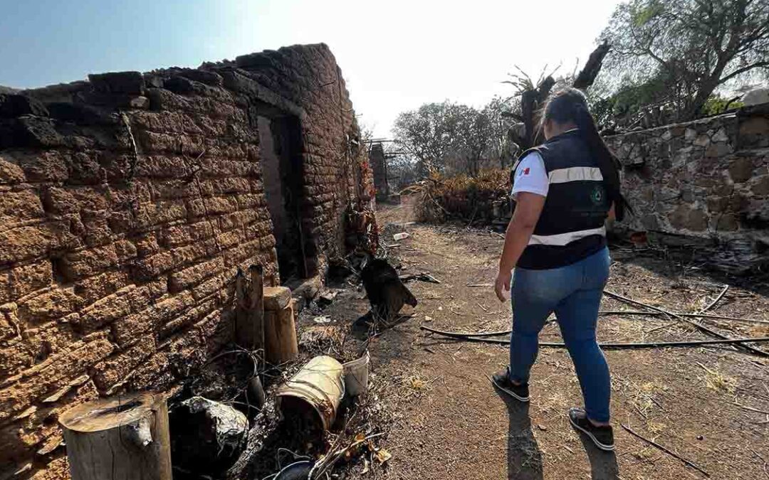 EVALÚAN DAÑOS POR INCENDIO FORESTAL DE SANTA MARÍA DEL RÍO Y TIERRANUEVA