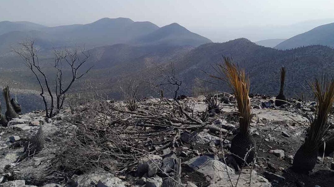 DE NUEVE INCENDIOS EN EL ESTADO, AÚN FALTAN CUATRO POR SER CONTROLADOS