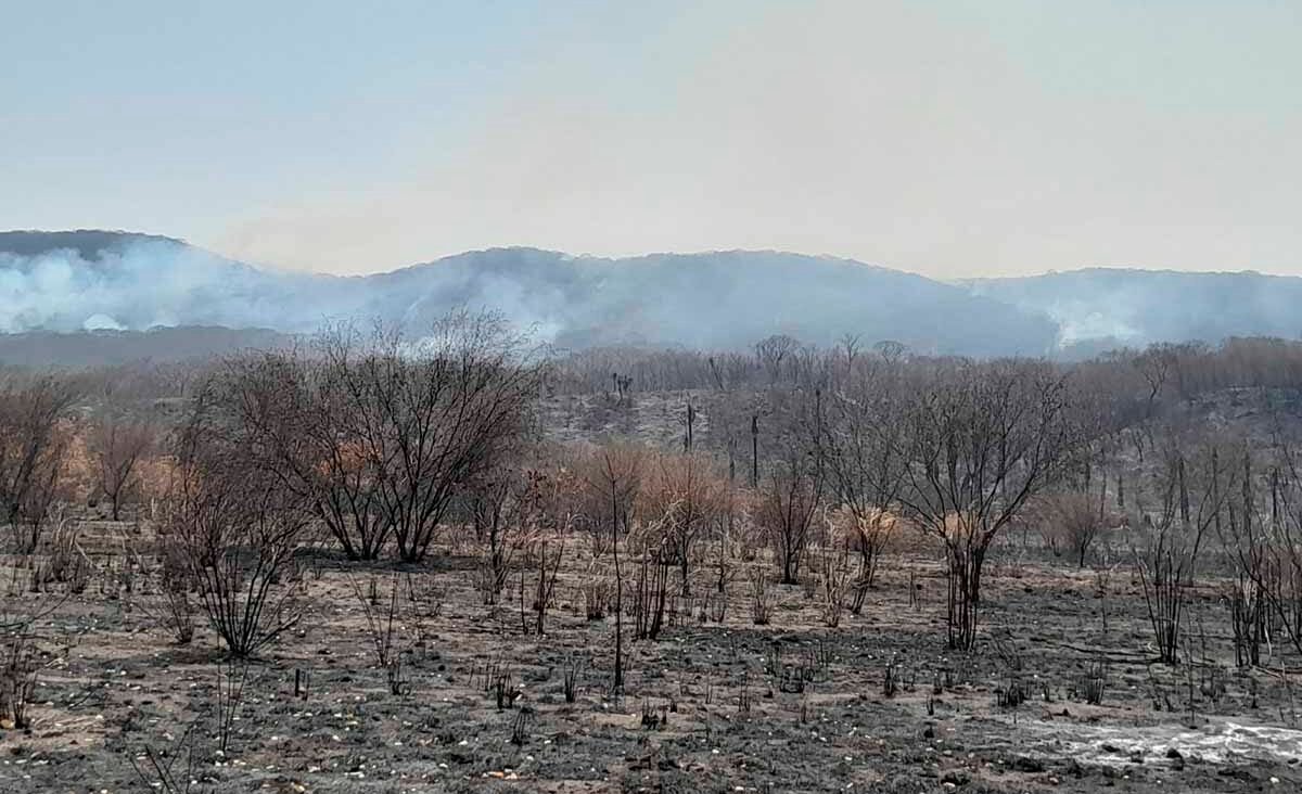 TRES HELICÓPTEROS Y BRIGADISTAS COMBATEN INCENDIO FORESTAL EN VALLES