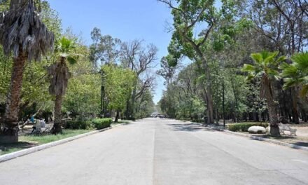 INICIAN LOS TRABAJOS DE REHABILITACIÓN DEL PARQUE MORALES