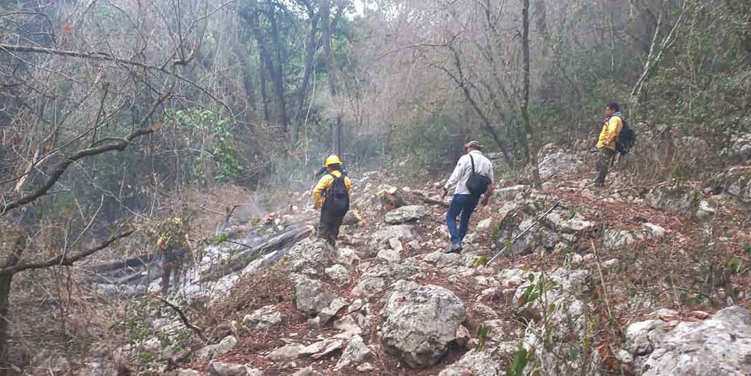 FUERON CONTROLADOS TRES DE LOS INCENDIOS FORESTALES ACTIVOS EN SLP