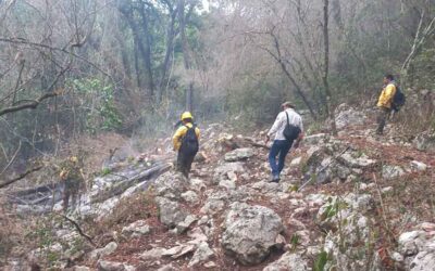FUERON CONTROLADOS TRES DE LOS INCENDIOS FORESTALES ACTIVOS EN SLP