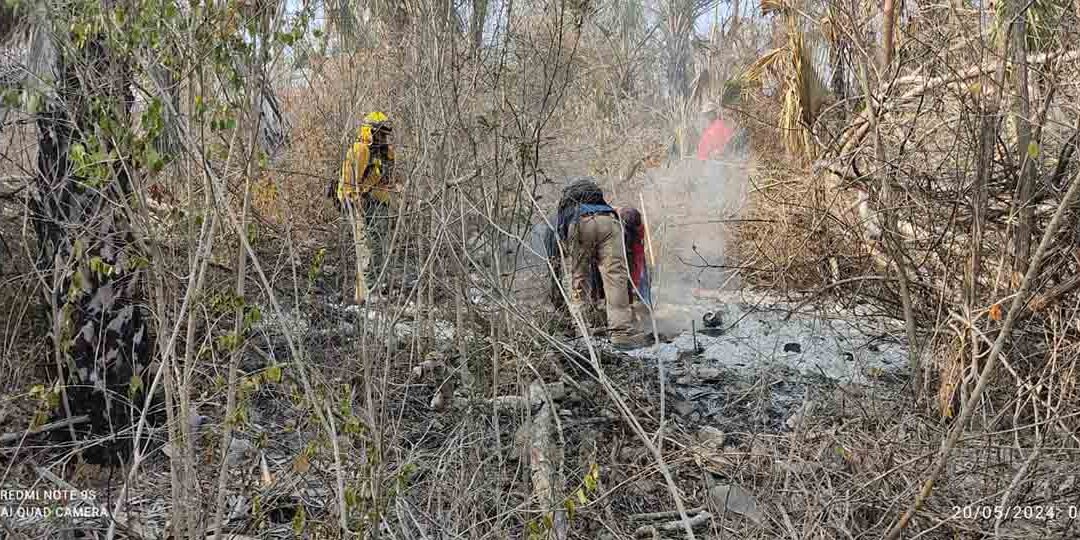 SIGUEN DOS INCENDIOS FORESTALES ACTIVOS EN EL ESTADO