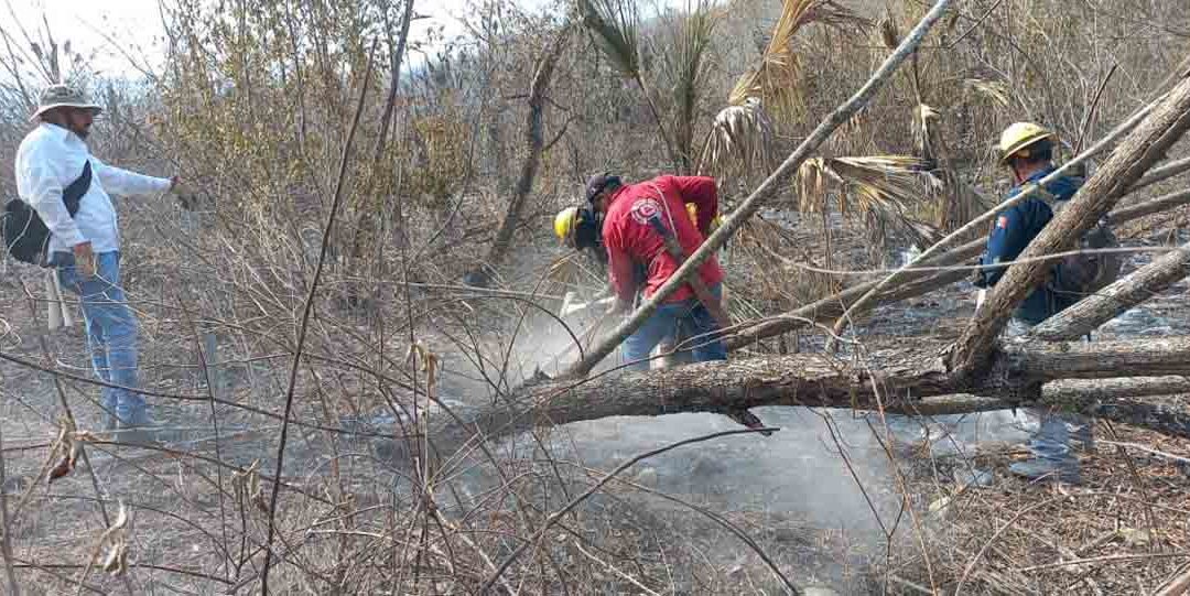 AUMENTAN ESFUERZOS PARA SOFOCAR INCENDIOS EN TERRITORIO POTOSINO