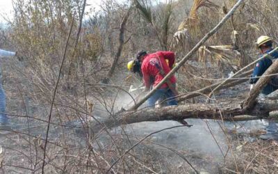 AUMENTAN ESFUERZOS PARA SOFOCAR INCENDIOS EN TERRITORIO POTOSINO