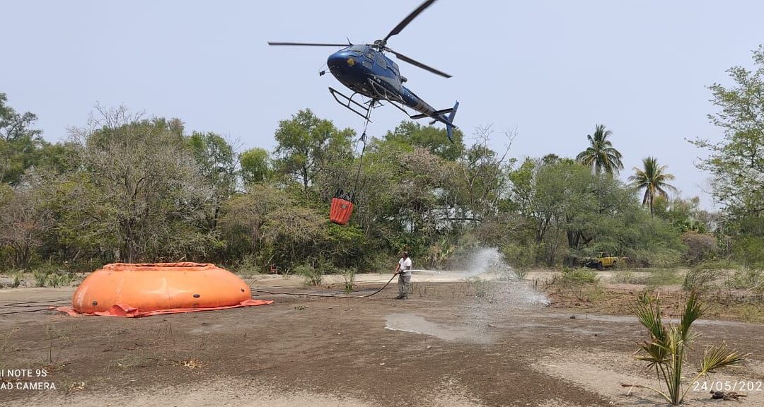 REPORTAN COMO CONTROLADOS AL CIEN POR CIENTO INCENDIOS FORESTALES EN EL ESTADO