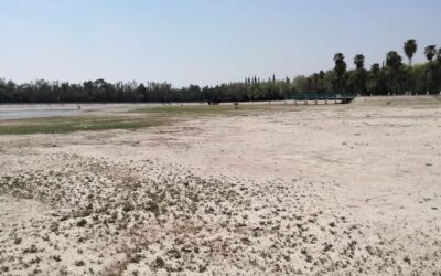 PREPARAN LAGO TANGAMANGA PARA TEMPORADA DE LLUVIAS