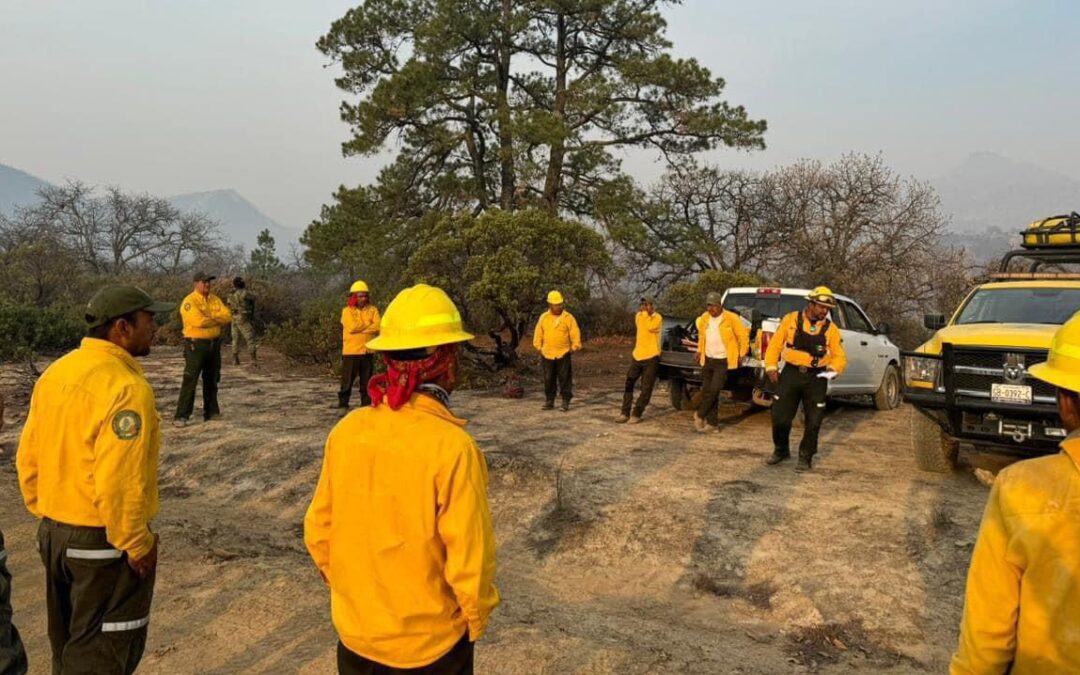 INTENSIFICAN LABORES PARA COMBATIR INCENDIO FORESTAL EN SANTA MARÍA Y TIERRA NUEVA