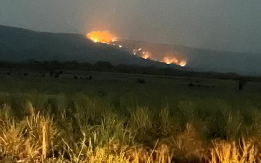 INCENDIO EN EL EJIDO ZARAGOZA DE CD. VALLES SIGUE ACTIVO