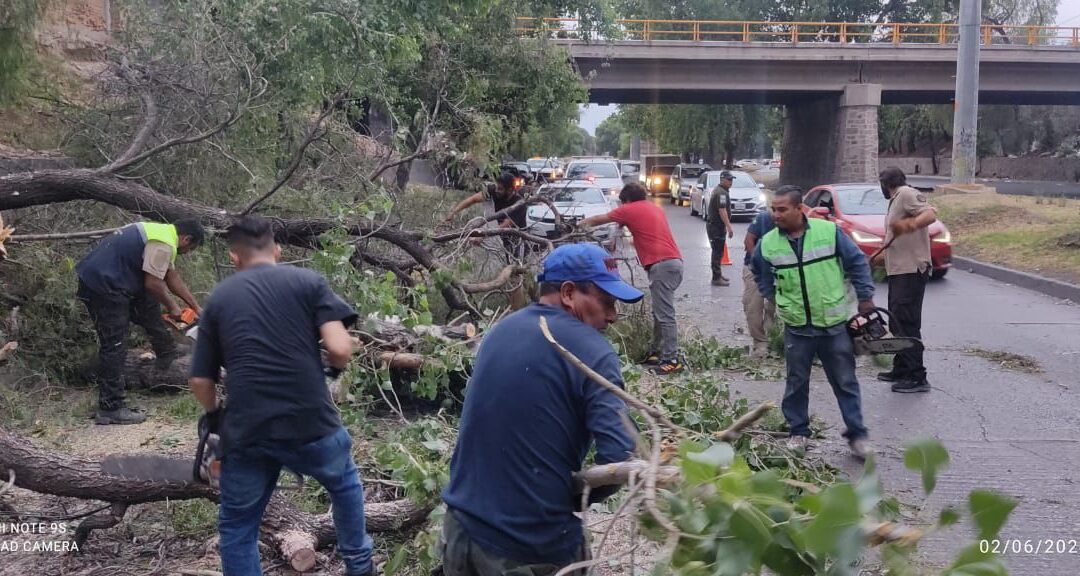 PROTECCIÓN CIVIL ATENDIÓ 17 REPORTES DURANTE JORNADA ELECTORAL