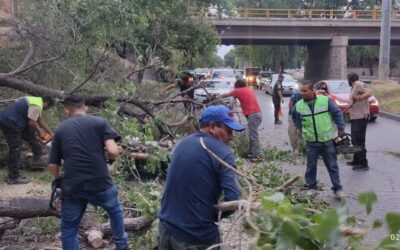 PROTECCIÓN CIVIL ATENDIÓ 17 REPORTES DURANTE JORNADA ELECTORAL