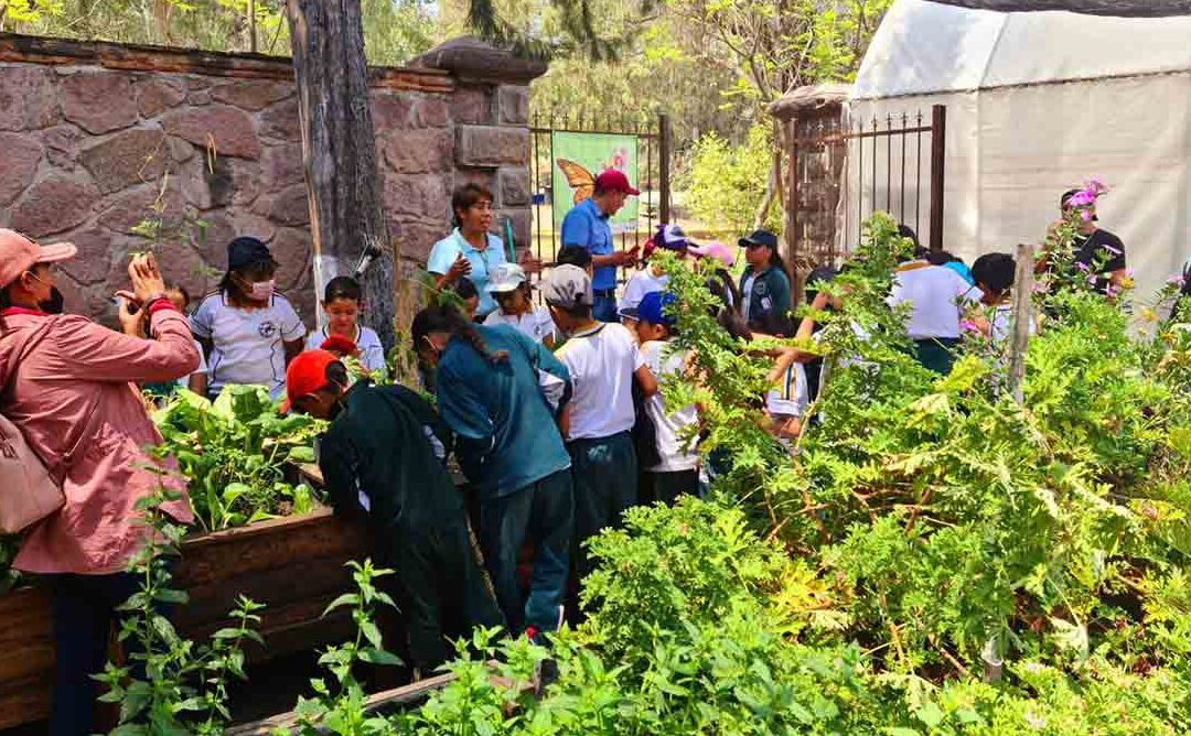 PROMUEVEN CUIDADO MEDIOAMBIENTAL EN ESCUELAS