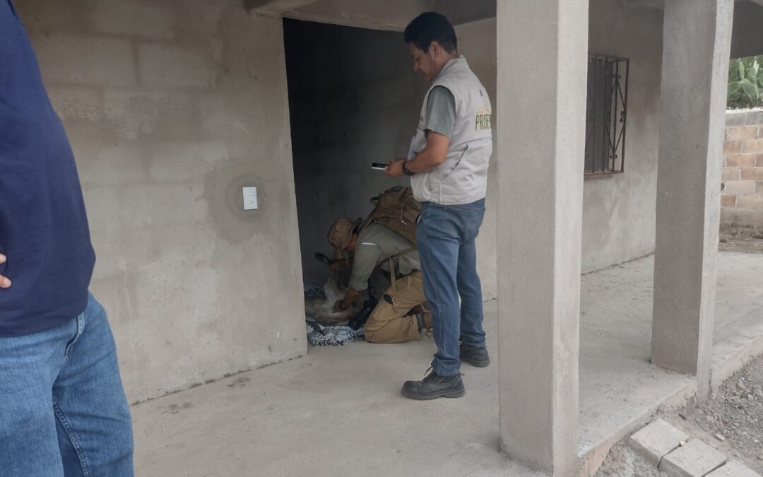 PUMA CAPTURADO EN ARMADILLO DE LOS INFANTE FUE REINTEGRADO EN SU HÁBITAT NATURAL