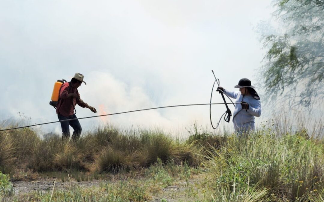 CONTINÚA COMBATE A INCENDIOS FORESTALES EN EL ESTADO