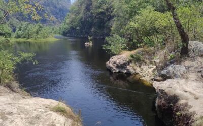 INSPECCIONAN AGUA DEL RÍO GALLINAS EN AQUISMÓN