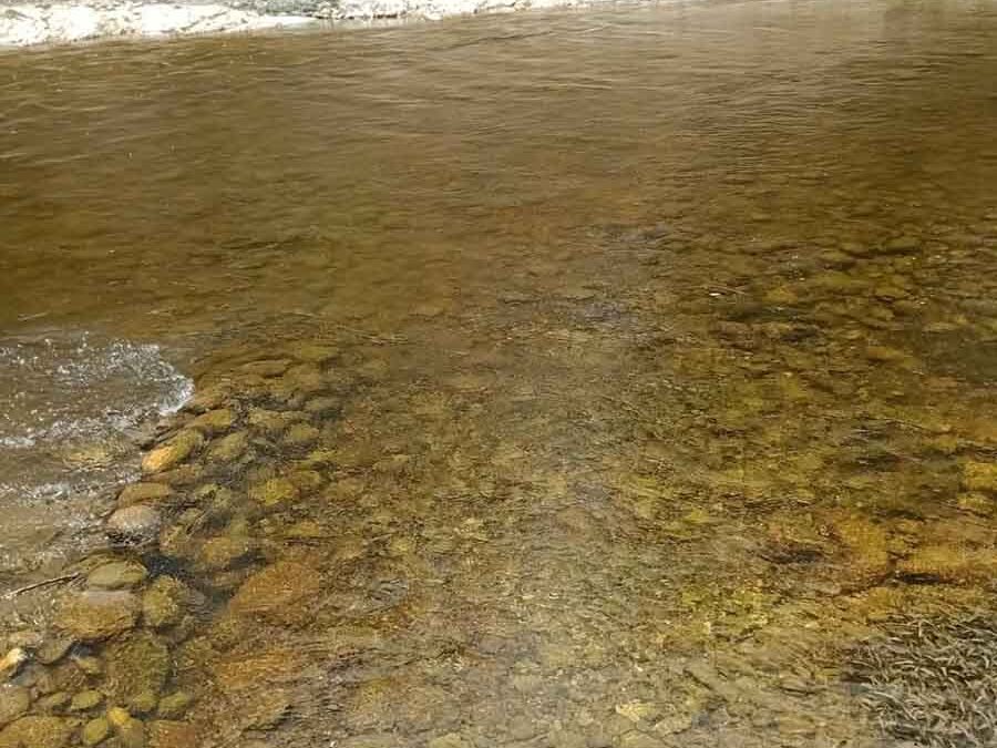 EN BREVE, PRESENTARÁN RESULTADOS DE ANÁLISIS DE AGUA DEL RÍO GALLINAS