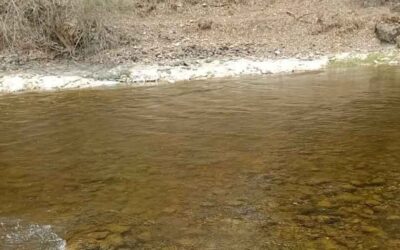EN BREVE, PRESENTARÁN RESULTADOS DE ANÁLISIS DE AGUA DEL RÍO GALLINAS
