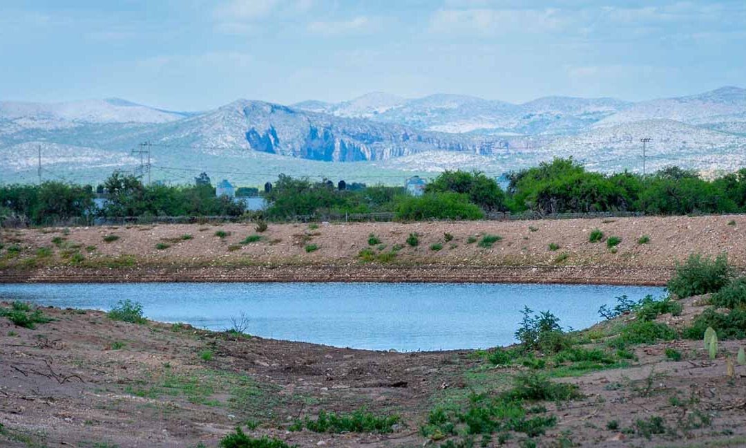 TOMARÁN ACCIONES CONTRA LA DESERTIFICACIÓN EN SLP