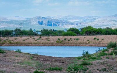TOMARÁN ACCIONES CONTRA LA DESERTIFICACIÓN EN SLP