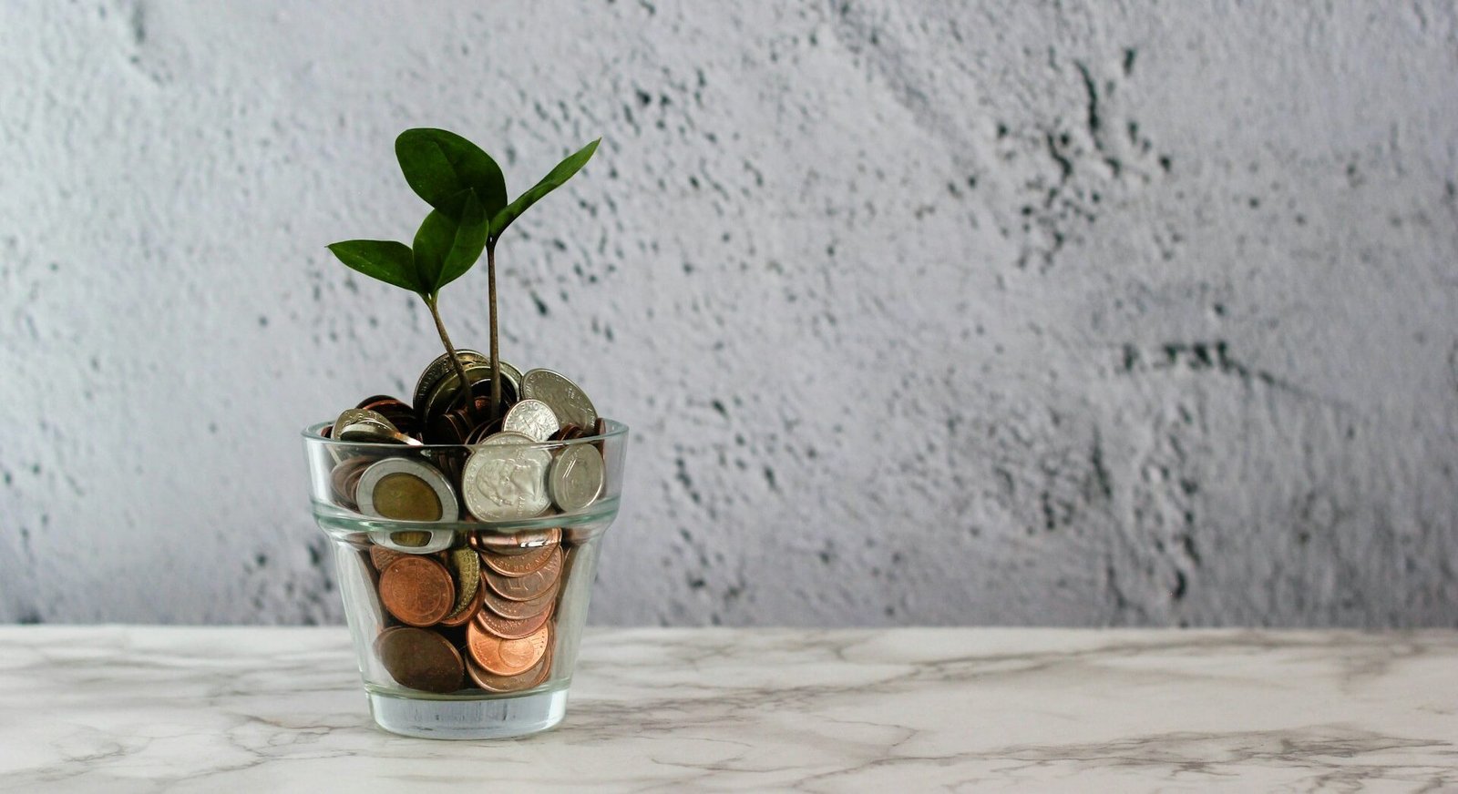 OFRECEN CRÉDITOS PARA MUJERES EMPRESARIAS Y EMPRENDEDORAS