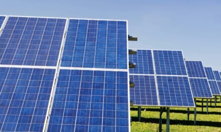 PROYECTAN INSTALACIÓN DE GRANJAS SOLARES EN EL ALTIPLANO