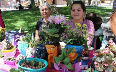 PROMUEVEN ACCESO A CRÉDITOS PARA MUJERES QUE FUERON VÍCTIMAS DE VIOLENCIA