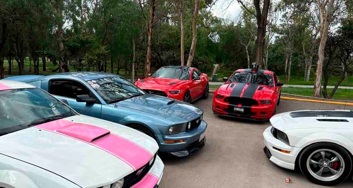 REGISTRAN CERCA DE 100 MIL ASISTENTES A PARQUES TANGAMANGA DURANTE EL PASADO FIN DE SEMANA