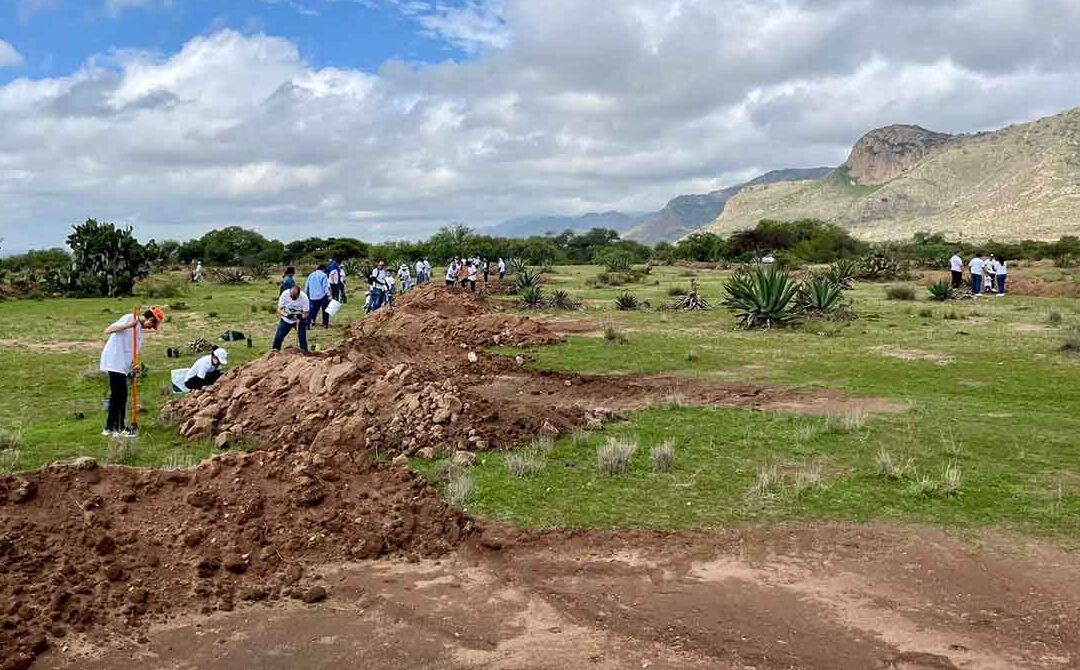 SE REALIZARÁ JORNADA DE REFORESTACIÓN EN LA SIERRA DE SAN MIGUELITO