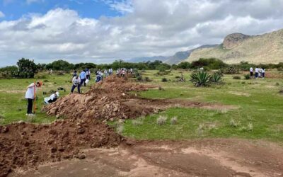 SE REALIZARÁ JORNADA DE REFORESTACIÓN EN LA SIERRA DE SAN MIGUELITO