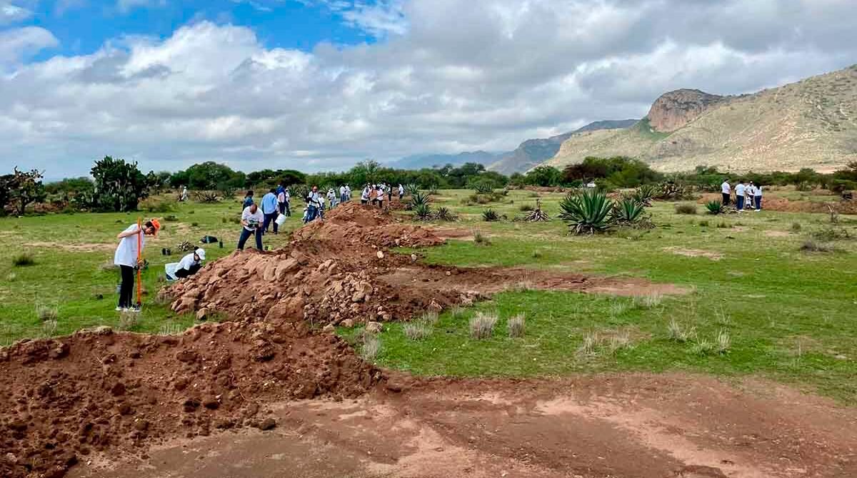 SE REALIZARÁ JORNADA DE REFORESTACIÓN EN LA SIERRA DE SAN MIGUELITO