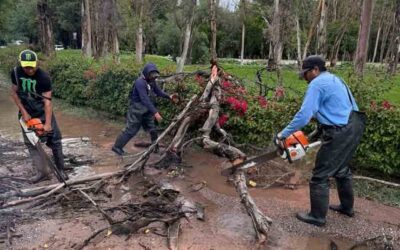 REALIZAN LIMPIEZA DE PARQUES TRAS FUERTES LLUVIAS