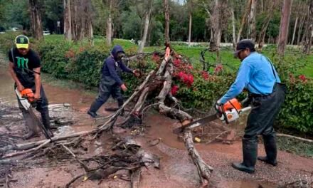 REALIZAN LIMPIEZA DE PARQUES TRAS FUERTES LLUVIAS