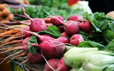 ENTREGARÁN EN SLP EL PREMIO NACIONAL DE SANIDAD VEGETAL