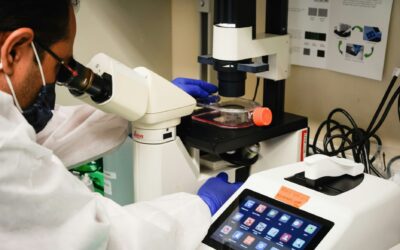 CONVOCAN AL PREMIO POTOSINO DE CIENCIA, TECNOLOGÍA E INNOVACIÓN 2024