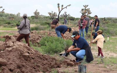 SE REALIZAN ESFUERZOS PARA REFORESTAR SIERRA DE SAN MIGUELITO