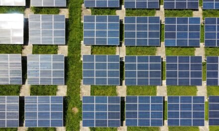 PROMUEVEN ESTRATEGIAS SOSTENIBLES DE EMPLEO EN SLP