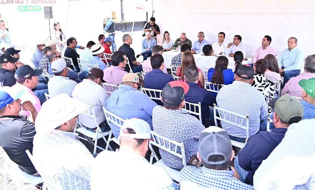 BRINDARÁN SEGURIDAD A PRODUCTORES AGRÍCOLAS DEL ALTIPLANO