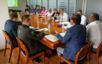 CONTINÚA DIÁLOGO CON DOCENTES DE TELESECUNDARIA